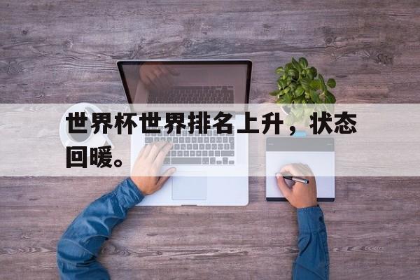 世界杯世界排名上升，状态回暖。