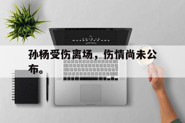 开云官方网站-孙杨受伤离场，伤情尚未公布。