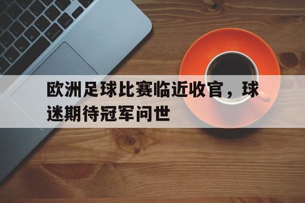 欧洲足球比赛临近收官，球迷期待冠军问世